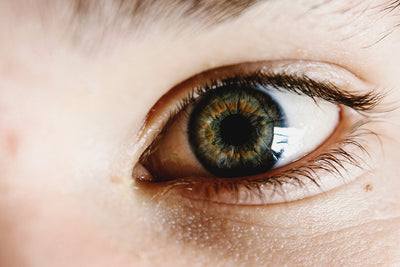 Eyelash Extension Training Near Me